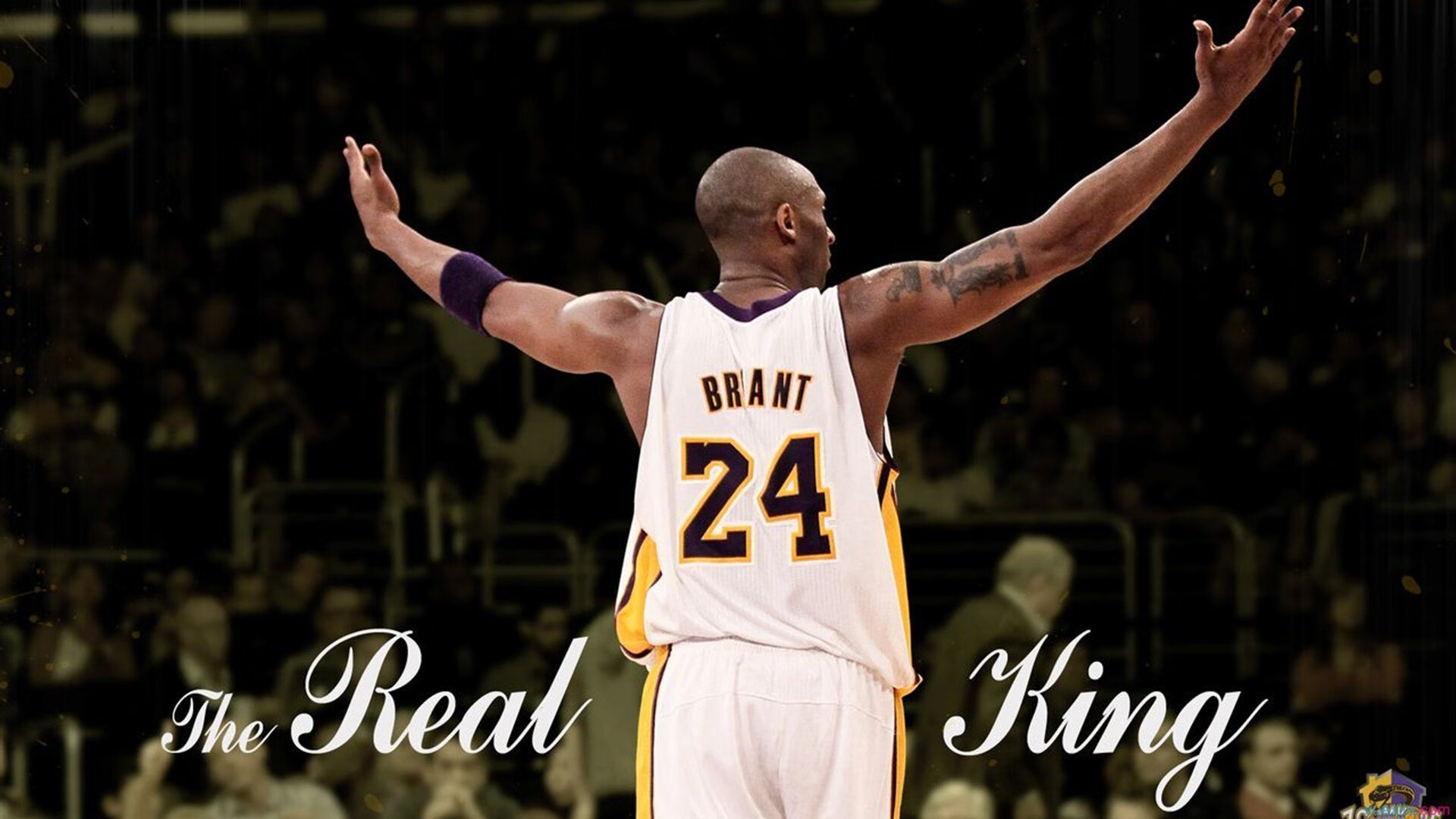 爱游戏官网下载 -德罗巴在巴塞罗那比赛中战术调整，精彩发挥引发热议！